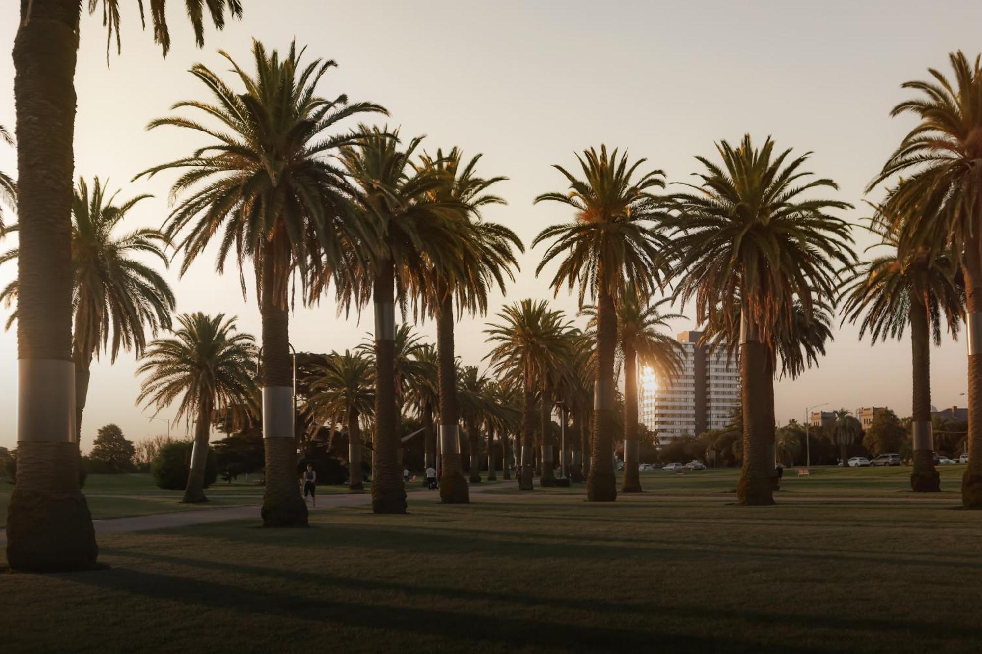 Mac St Kilda Blessington St By Melbourne Apartment Collection Exteriér fotografie